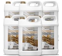 GiDeli Bioetanol 6 x 5 l con aroma a canela 96,6% etanol para chimeneas interiores y exteriores, sin humo ni hollín, de maíz y remolacha azucarera