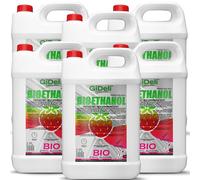 GiDeli Bioetanol 6 x 5 l de aroma a fresa silvestre 96,6% etanol para chimeneas interiores y exteriores, sin humo ni hollín, de maíz y remolacha azucarera