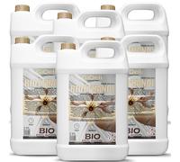 GiDeli Bioetanol 6 x 5 l de aroma a vainilla 96,6% etanol para chimeneas interiores y exteriores, sin humo ni hollín, de maíz y remolacha azucarera