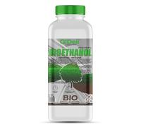 GiDeli Bioetanol - Fragancia forestal (96,6% de etanol, para chimeneas interiores y exteriores, sin humo ni hollín, de maíz y remolacha azucarera)
