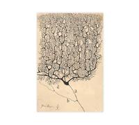 GIEIG Neuron Drawing By Santiago Ramón Y Cajal-standard-scale-2_00x-gigapixel lienzo pósteres arte de pared dormitorio oficina decoración regalo sin marco 30.5 x 45.7 cm