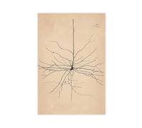 GIEIG Pyramida Neurona Dibujo de Santiago Ramón Y Cajal Póster para Estética de Habitación Lienzo Arte de Pared Impresión Sin Marco 30 x 45 cm