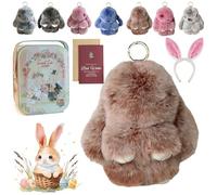 Gienslru Easter Keychain With Tin Box, 4" Handmade Soft Bunny Charms, Easter Cute Bunny Plush Keychain, for Women & Teens Sweet Surprise (F-1)
