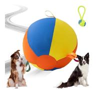 Gienslru Heavy Duty Herding Ball for Dogs: Giant Inflatable Dog Balls for Outdoor Exercise, Mental Stimulation & Push-and-Chase Play (D, 25cm/9.8inch)