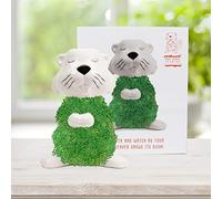 Gift Republic - Juego de Castor para Cultivar Semillas de chía | Cuenco de Cultivo en Forma de Castor | Kit de iniciación de Semillas de chia | Juego de Plantas de Castor | Regalo para Navidad,