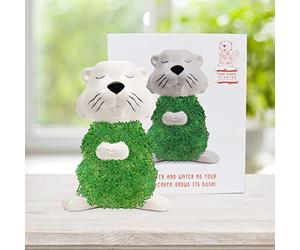 Gift Republic - Juego de Castor para Cultivar Semillas de chía | Cuenco de Cultivo en Forma de Castor | Kit de iniciación de Semillas de chia | Juego de Plantas de Castor | Regalo para Navidad,