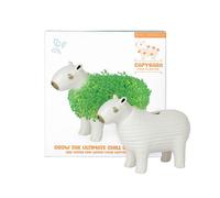Gift Republic Maceta de chía, cerámica, Color Blanco, tamaño Mediano