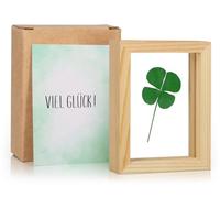 Giftota Amuleto de la suerte, gran trébol de cuatro hojas auténtico con tarjeta de buena suerte, hecho a mano, pequeño regalo para la suerte, regalo de mutuo, amuleto de la suerte examen