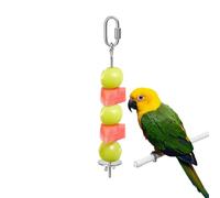 gifyym Pincho para Alimento de Aves | Barra Vegetal para Comederos de Acero Inoxidable | Soporte para Periquitos,para Jaula de Guacamayo, Periquito, NINFA, Conuro, Pinzón, Agapornis, Cacatúa