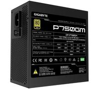 Gigabyte GP-P750GM