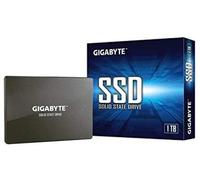 Gigabyte technology gp-gstfs31100tntd unidad de estado sólido 2.5' 10
