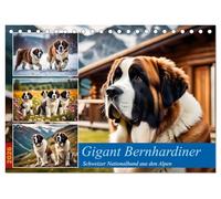 Gigant Bernhardiner (Tischkalender 2026 DIN A5 quer), CALVENDO Monatskalender: Schweizer Nationalhund aus den Alpen