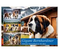 Gigant Bernhardiner (Wandkalender 2026 DIN A2 quer), CALVENDO Monatskalender: Schweizer Nationalhund aus den Alpen