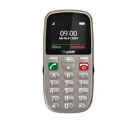 Gigaset GL395 Teléfono móvil - para Personas Mayores - Teclas Grandes y botón de Emergencia SOS - protección contra el Polvo y Las Salpicaduras - sin Contrato - Pantalla TFT en Color, Titanio