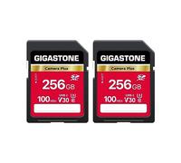 GIGASTONE 256GB Tarjeta SD Paquete de 10, cámara Plus, SDXC V30, Alta Velocidad de vídeo UHD, Compatible con cámara Digital Canon, Sony, Kodak, con 2 Mini Estuches