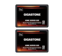 Gigastone Certificado NAS: SSD de servidor doméstico de 1 TB (paquete de 2) hasta 550 MB/s flash TLC con almacenamiento en caché SLC 24/7 fiable para juegos/PC/NAS SSD, unidades de estado sólido