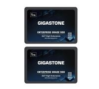 Gigastone Enterprise SSD 1TB NAS SSD Cache (paquete de 2) Servidor empresarial de alta resistencia TLC 24/7 RAID de centro de datos Almacenamient