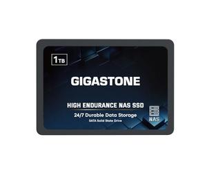 Gigastone Unidad SSD NAS de 1 TB 24/7 duradera TLC de alta resistencia RAID de almacenamiento de datos en red, almacenamiento conectado a la red, discos duros internos SATA de 2.5 pulgadas