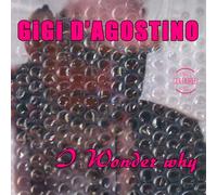Gigi D'Agostino - I Wonder Why [Import] [Vinilo]