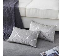 GIGIZAZA Gris Plata De Lujo Terciopelo Almohadon Cubre Caso, Confortable Funda de Almohada, Raya Decoración Fundas de Almohada para Sofá Cama Casa Decor 30x50cm Juego de Dos