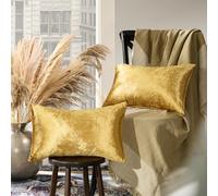 GIGIZAZA Juego de 2 Fundas de cojín de Terciopelo para sofá, Cama, decoración de sofá o Cama