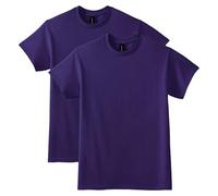 Gildan Men's Dryblend T-Shirt, Style G8000, 2-Pack, Purple, Large