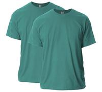 Gildan Men's Ultra Cotton T-Shirt, Style G2000, 2-Pack, Jade Dome, Small