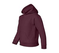 Gildan Sudadera con capucha juvenil, estilo G18500B, Púrpura/Ombre Force., Large