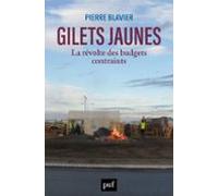 Gilets Jaunes La Révolte Des Budgets Contraints (ebook)