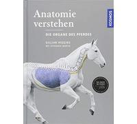 Gillian Higgins Anatomie verstehen - Die Organe des Pferdes: Das Inn (Tapa dura)