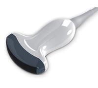Gima 33953 Sonda Convex 3.5 MHz para Cod. 33965 - 6, 33877, 33882 - 3