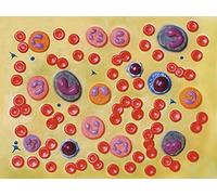 Gima 40077 Tico Modelo células de sangre, 2000 x, Unidades 1 Unidad