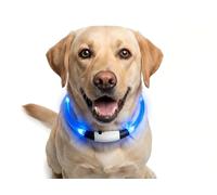 Gimars Collar de Perro LED Recargable, Collar Luminoso de PVC para Perros, 70 cm, tamaño Universal Recortable, Impermeable, 3 Modos de luz con USB-C, Azul