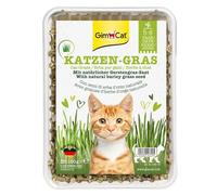 150 g GimCat Hierba Gatera en Bandeja