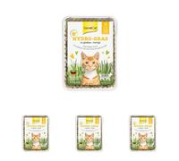 GimCat Hydro-Gras - Hierba Fresca para Gatos, de plantación controlada, en Tan Solo de 5 a 8 días - 1 Bandeja (1 x 150 g) (Paquete de 4)