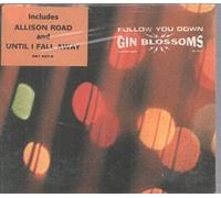 Gin Blossoms - Follow You Down 2:Uk