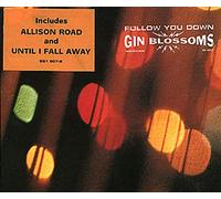 Gin Blossoms - Follow You Down