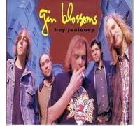 Gin Blossoms - Hey Jealousy