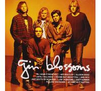 Gin Blossoms - Icon