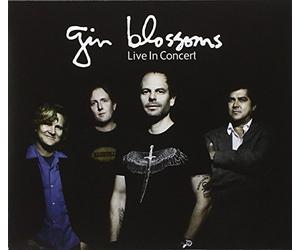 Gin Blossoms - Live In Concert