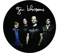 Gin Blossoms - Live In Concert (Picture Disc) [Vinilo]