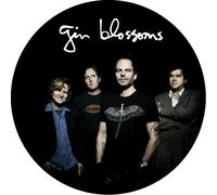 Gin Blossoms Live In Concert (Vinyl) (Importación USA)