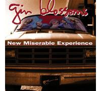 Gin Blossoms – New Miserable Experience – Authentic Models