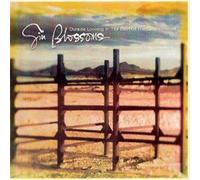 Gin Blossoms Outside Looking In: THE BEST OF THE GIN BLOS (CD) (Importación USA)