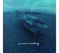 Gin Blossoms - Up & Crumbling