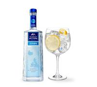 gin sin alcohol Martin Miller's 0% Zero Alcohol bebida sin alcohol selección gourmet 1 botella 70 cl
