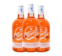 Ginebra Artemi Carmela Guayaba y Mango 70 cl (Caja de 3 Botellas de 70 cl)