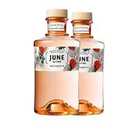 Ginebra G'Vine June Gin Peach 70 cl (Caja de 2 Botellas de 70 cl)