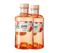 Ginebra G'Vine June Melocotón 70 aja de 2 Botellas de 70 cl)