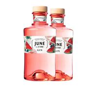Ginebra G'Vine June Watermelon Gin Liqueur 70 cl (Caja de 2 Botellas de 70 cl)